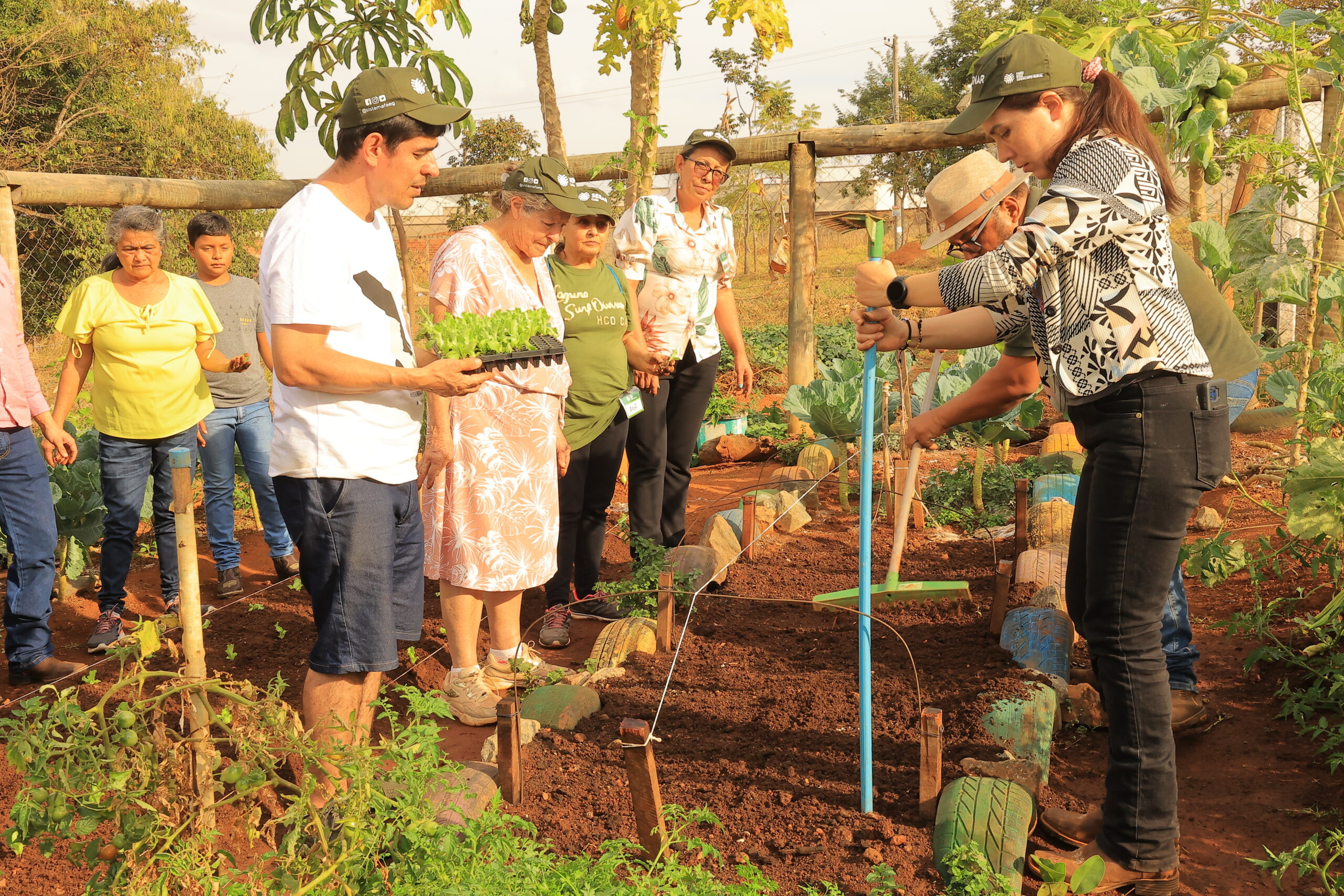 PREFEITURA DE TRINDADE REALIZA EDIÇÃO DO CURSO DE OLERICULTURA, CULTIVO DE VEGETAIS