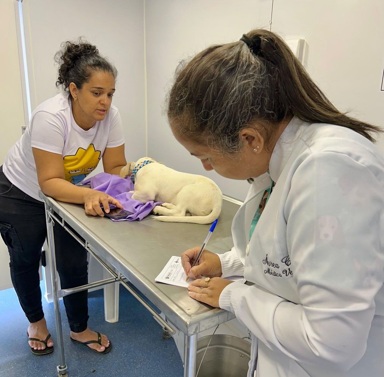 Foto: Secom Trindade