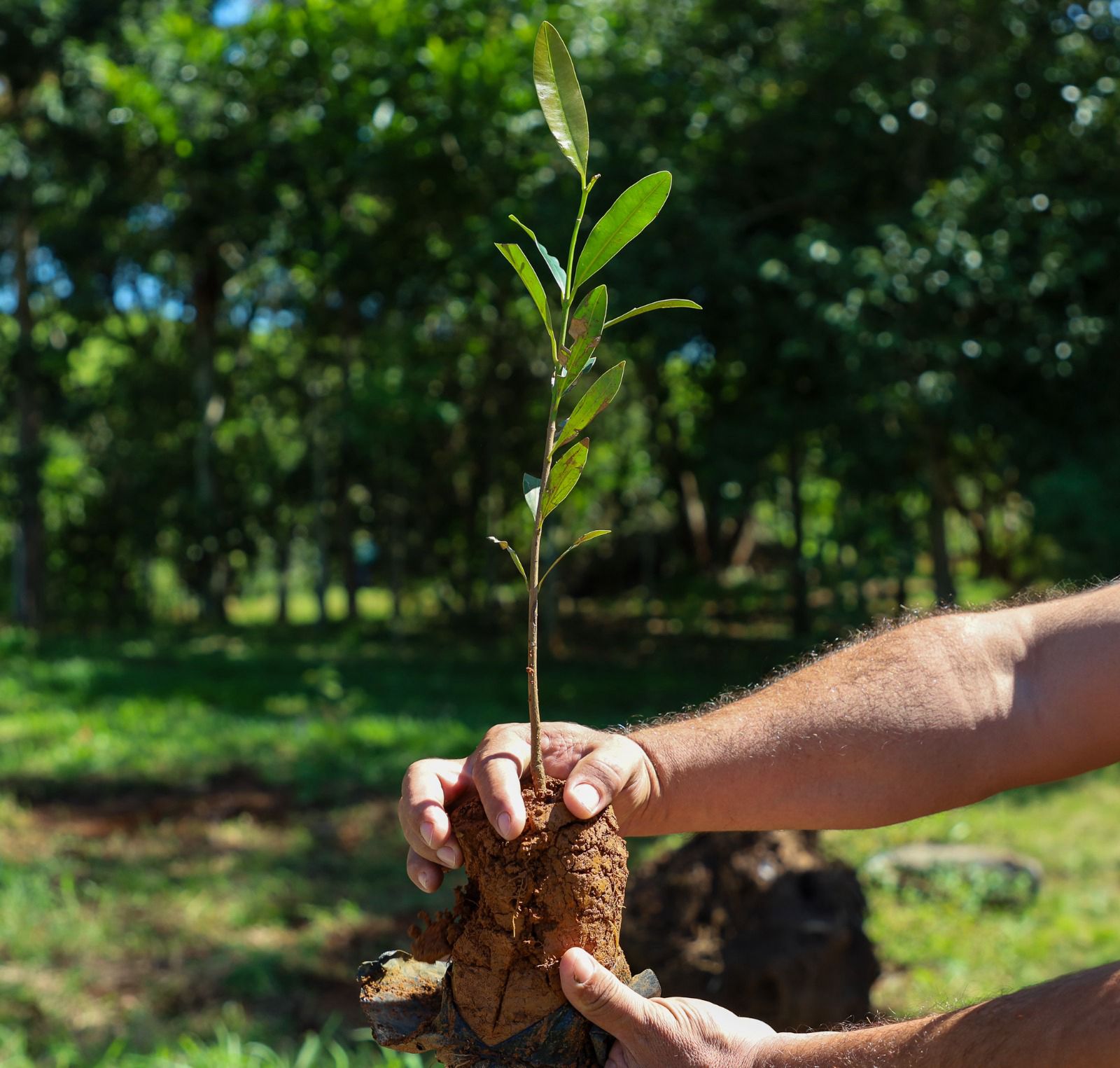 Foto: Secom Trindade