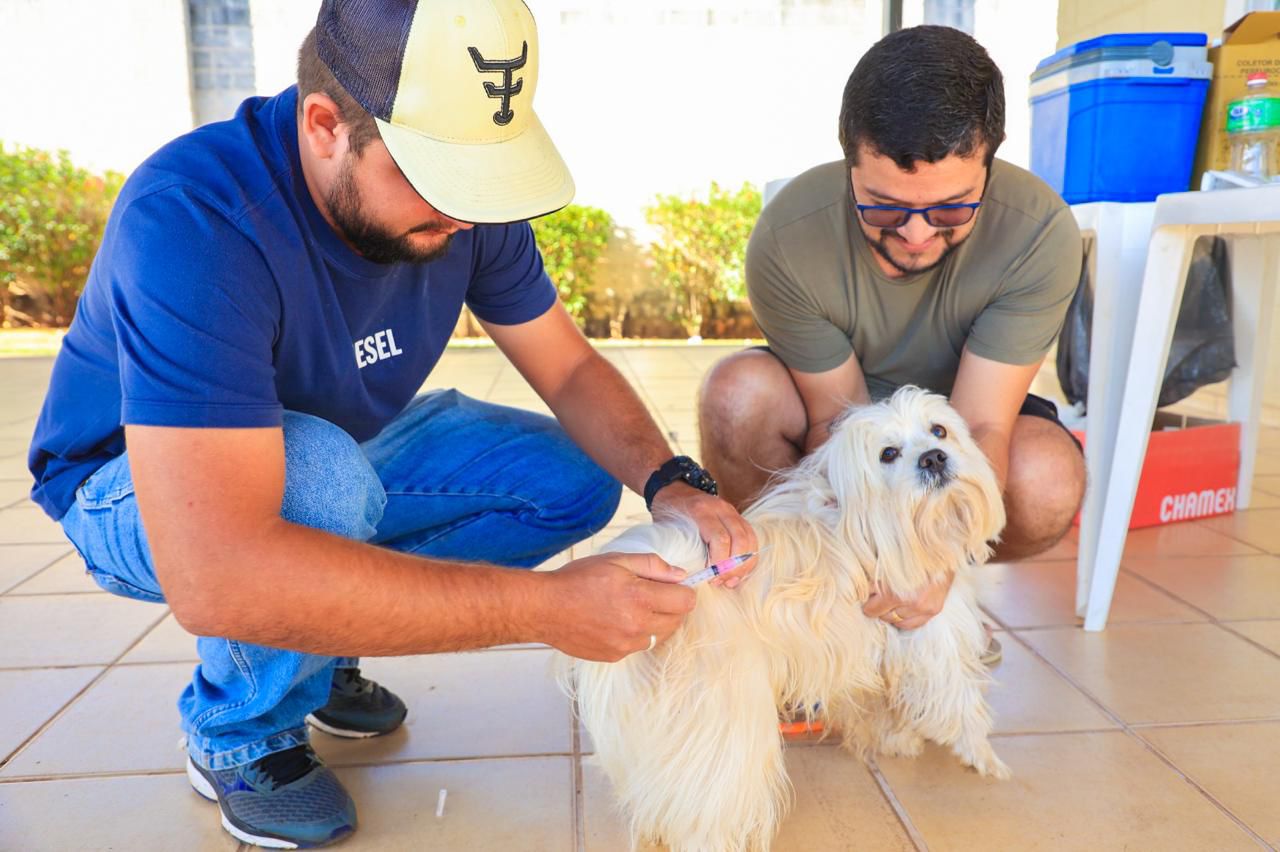 Foto: Secom Trindade