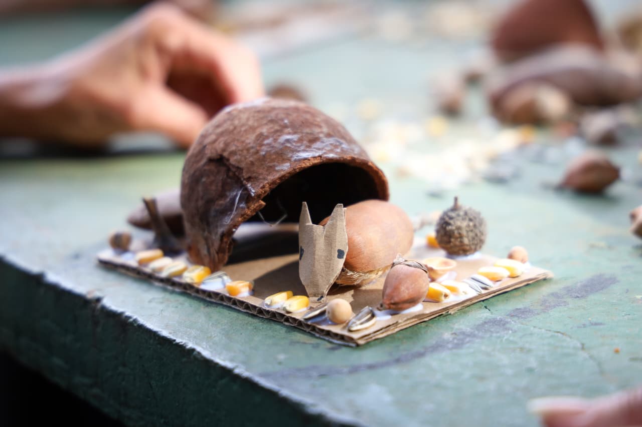 Fotos: Secom Trindade